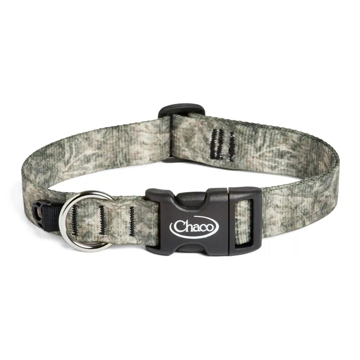 Chaco x Creek Rat Dog Collar