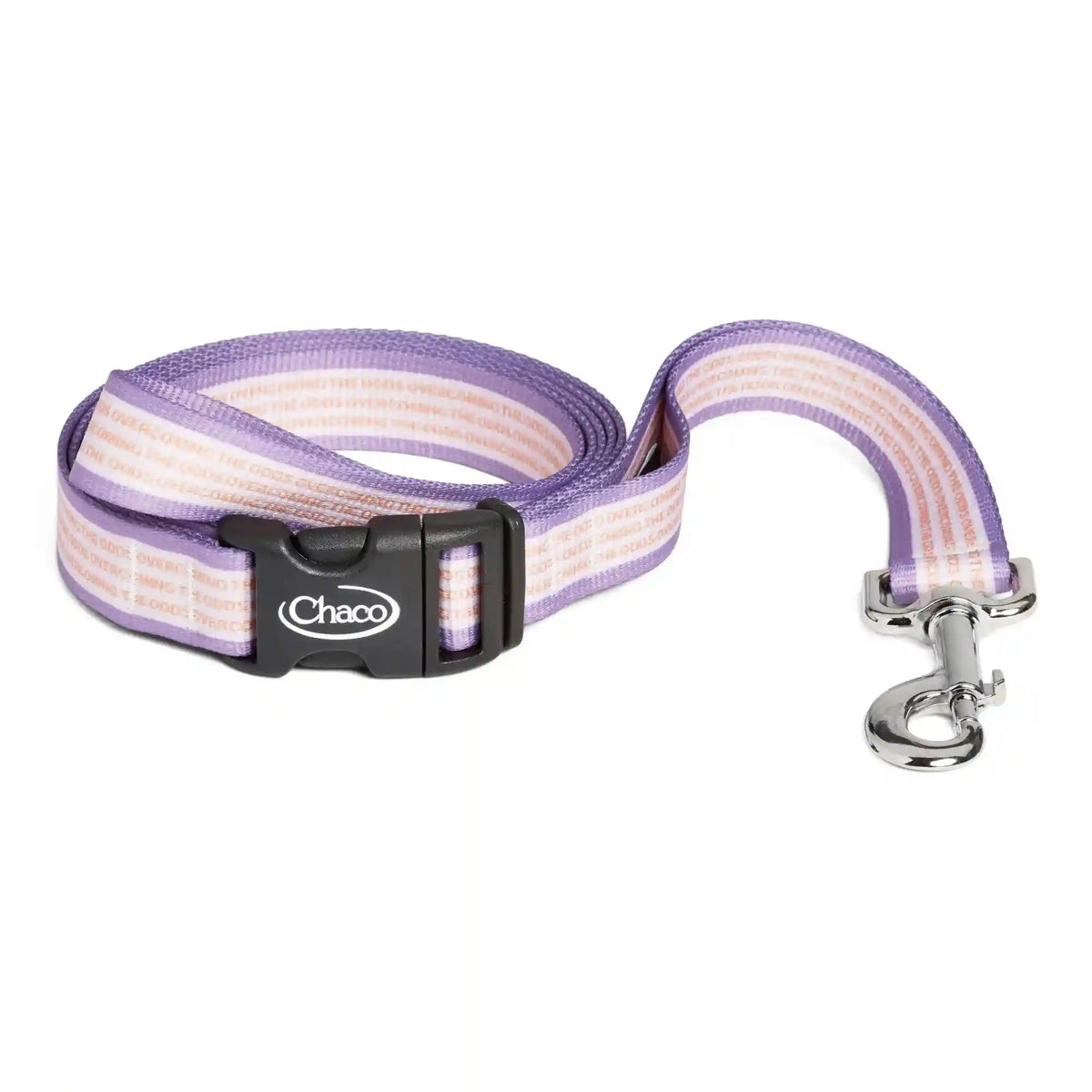 Dog Leash - Overcoming the Odds