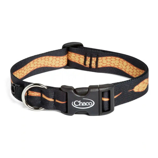 Chaco x Creek Rat Dog Collar