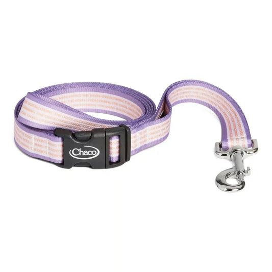 Dog Leash - Overcoming the Odds