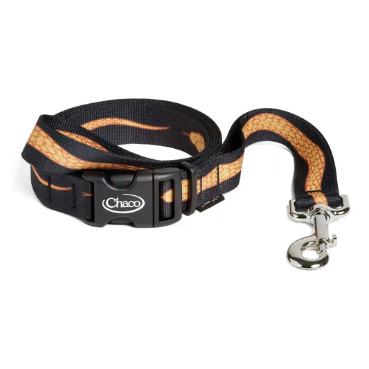 Chaco x Creek Rat Dog Leash
